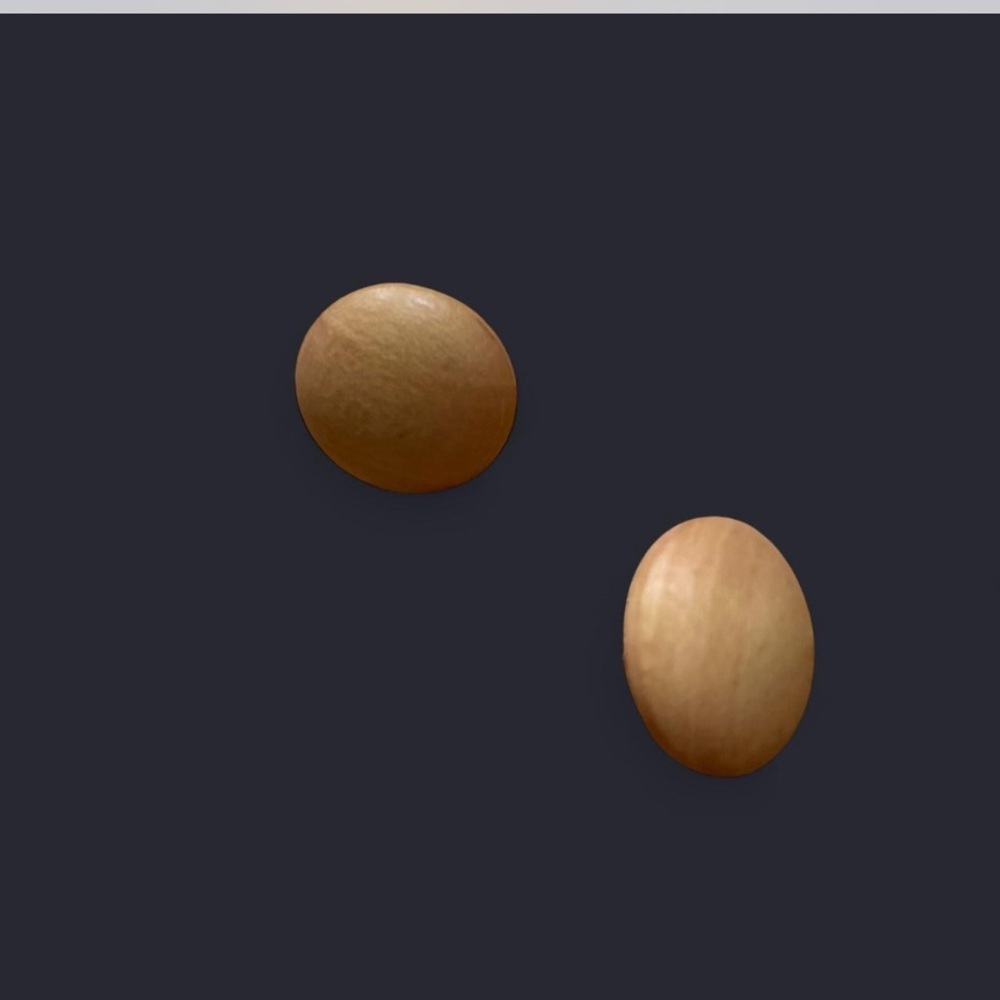 Round Wooden Earrings